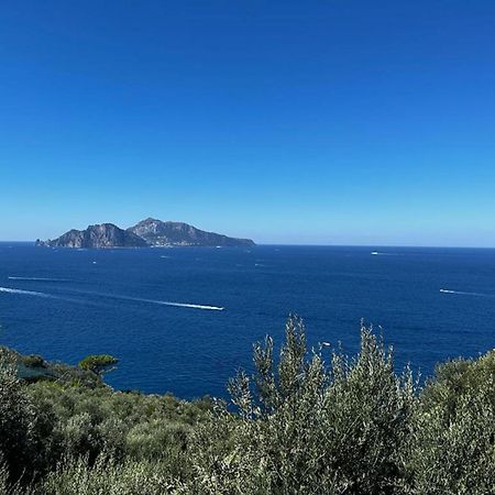 Apartment Don Luigino - Capri View By Interhome 마사루브렌세 외부 사진