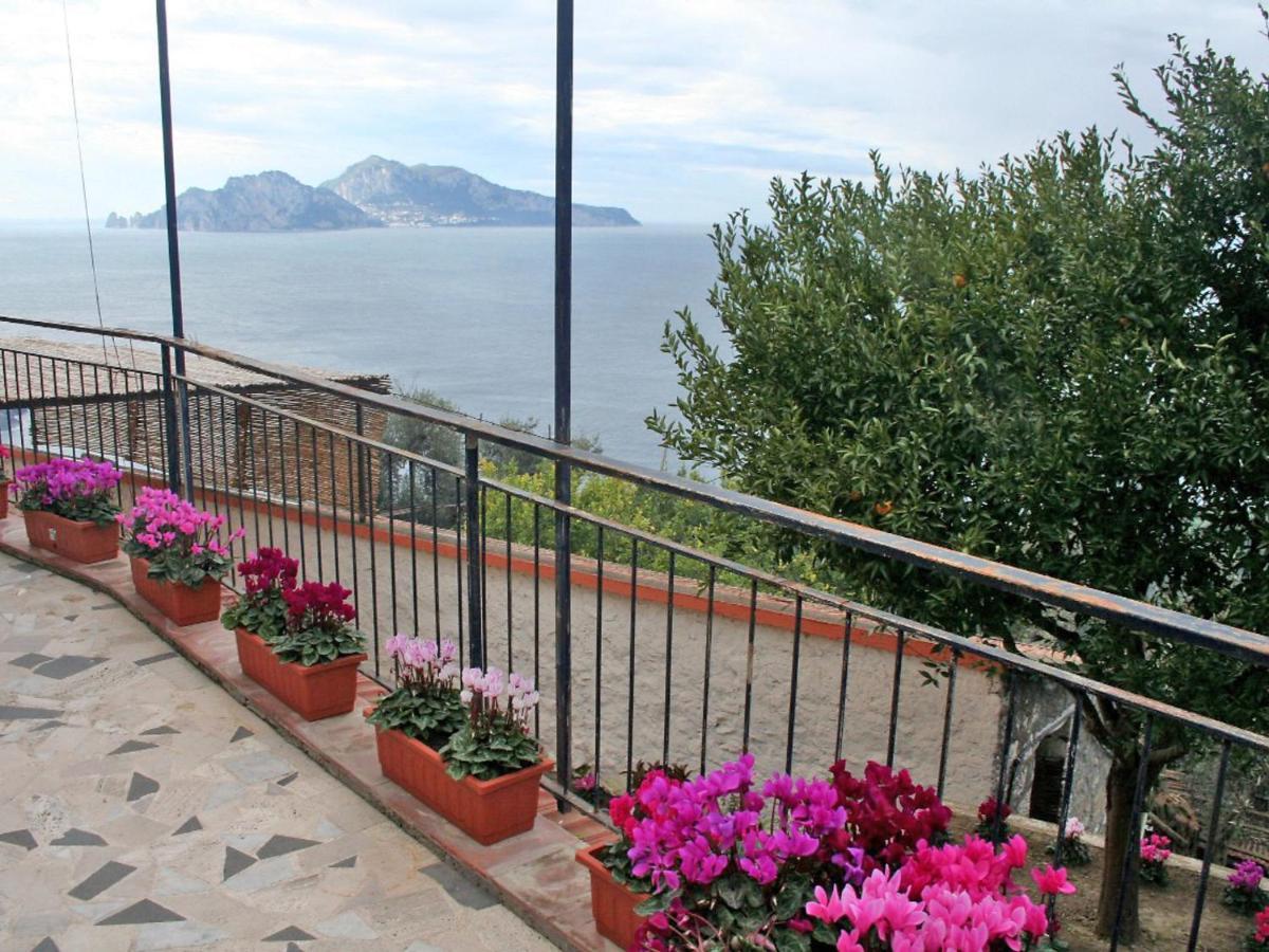 Apartment Don Luigino - Capri View By Interhome 마사루브렌세 외부 사진